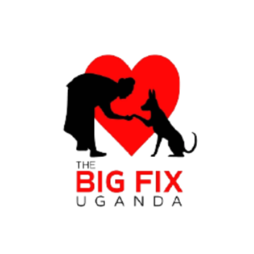 BigFix
